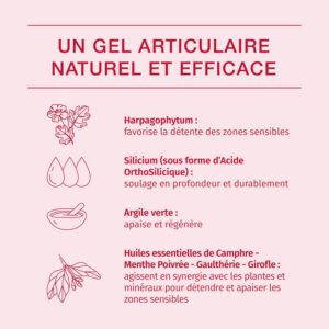 Alternative view of PHYTORESEARCH Cartidol — Gel surconcentré 120 ml