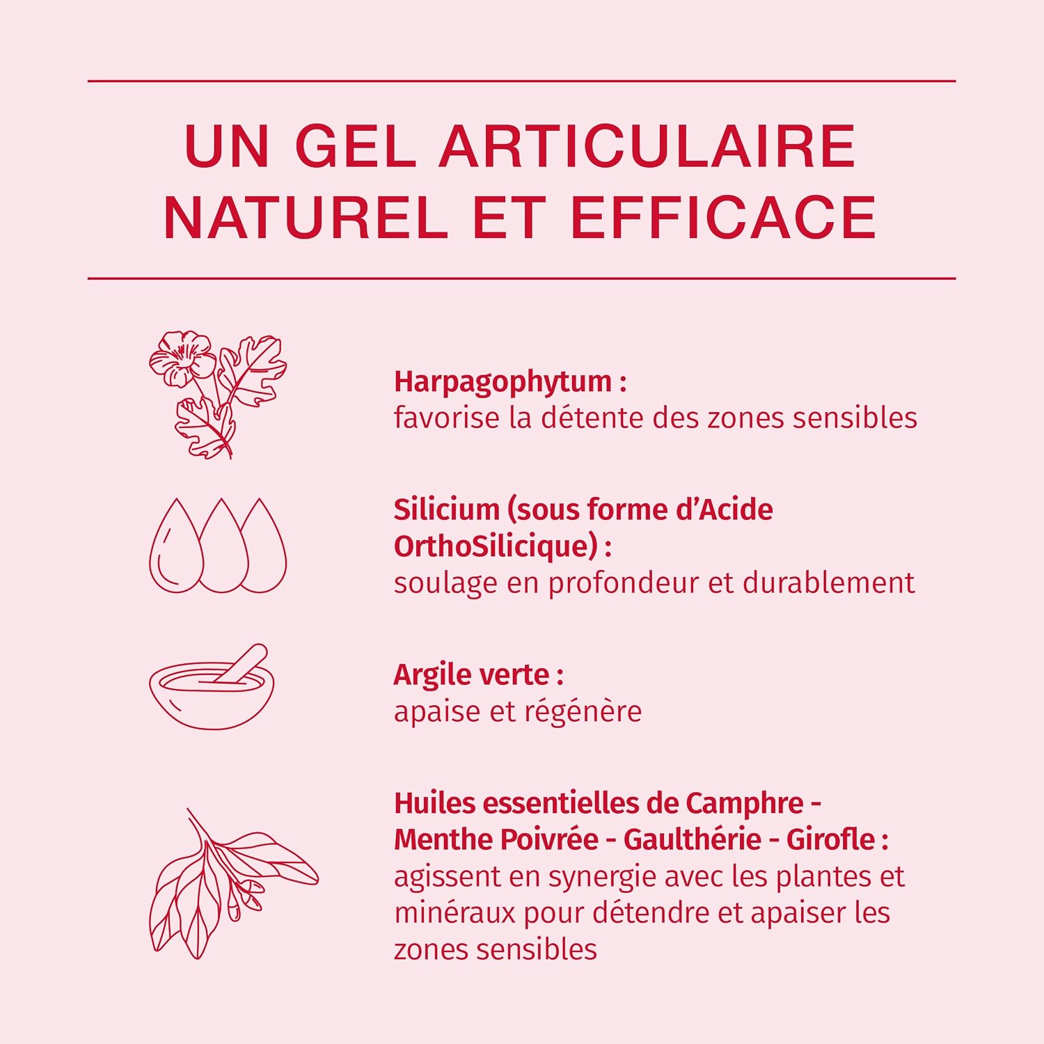 PHYTORESEARCH Cartidol — Gel surconcentré 120 ml – Image 2