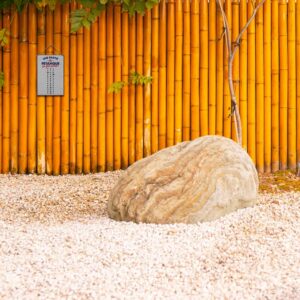 Alternative view of STC — Compteur de Points Pétanque Club