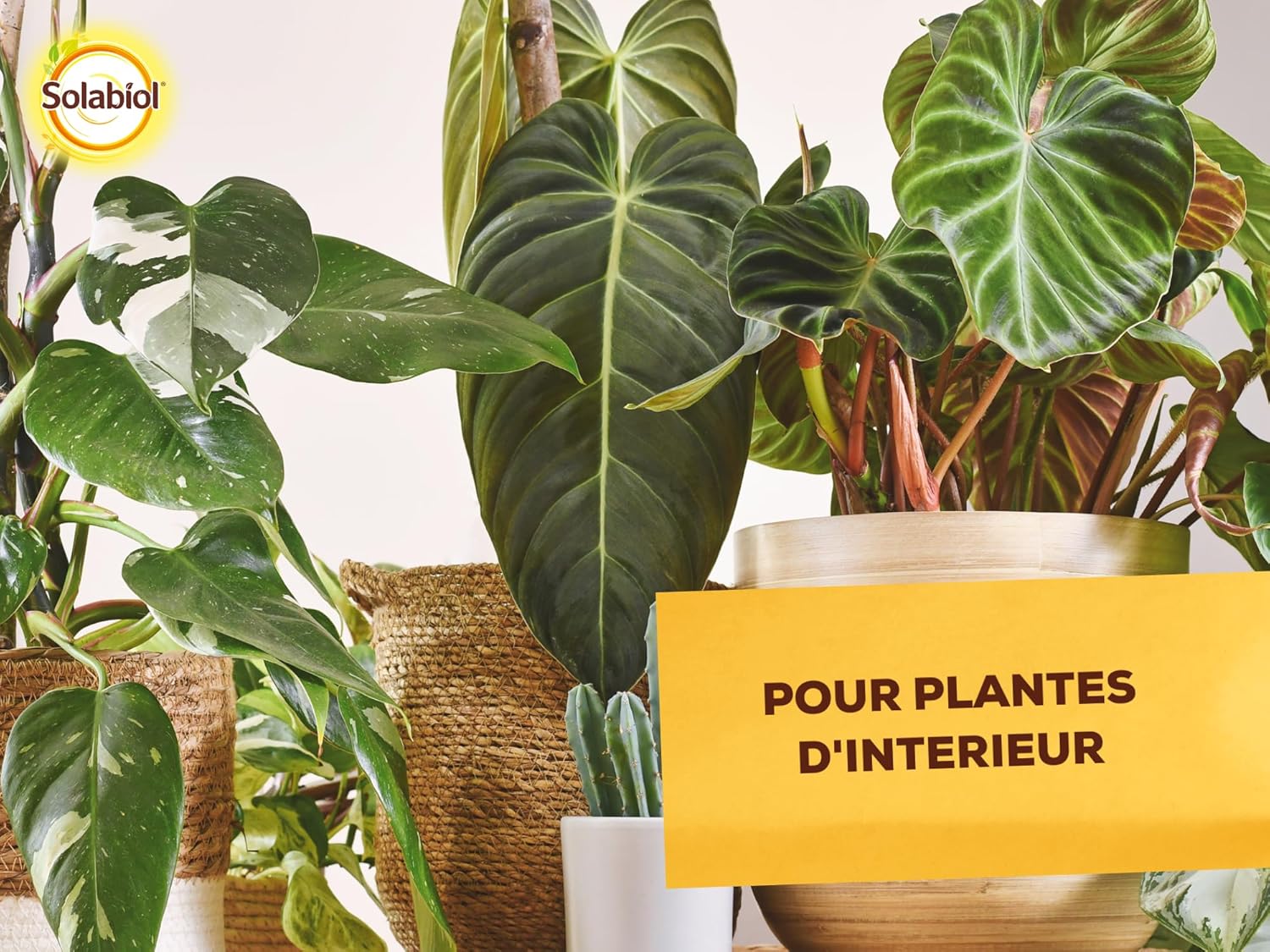 SOLABIOL — Pulvérisateur Insectes Plantes d’Intérieur 500ml – Image 4
