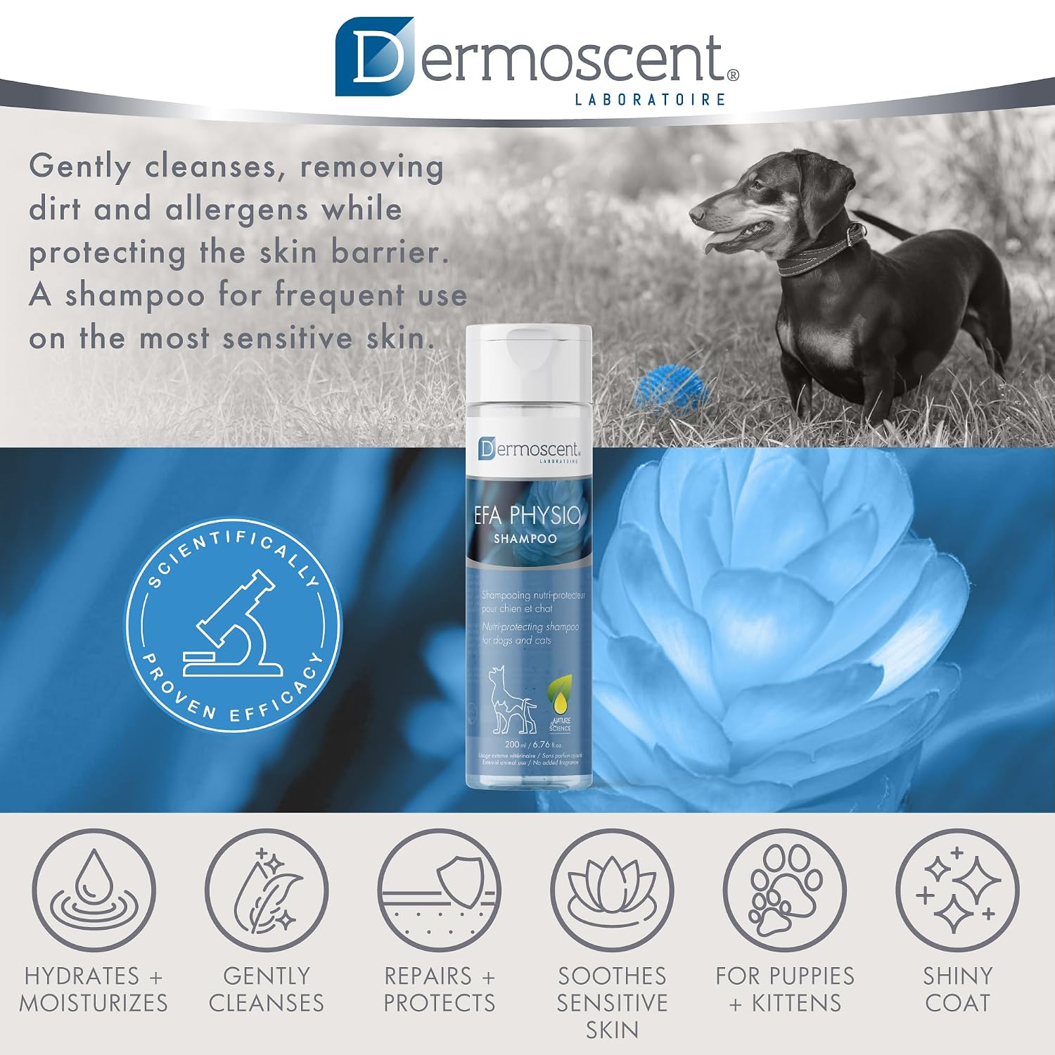 EFA — Shampooing Physio – Image 7