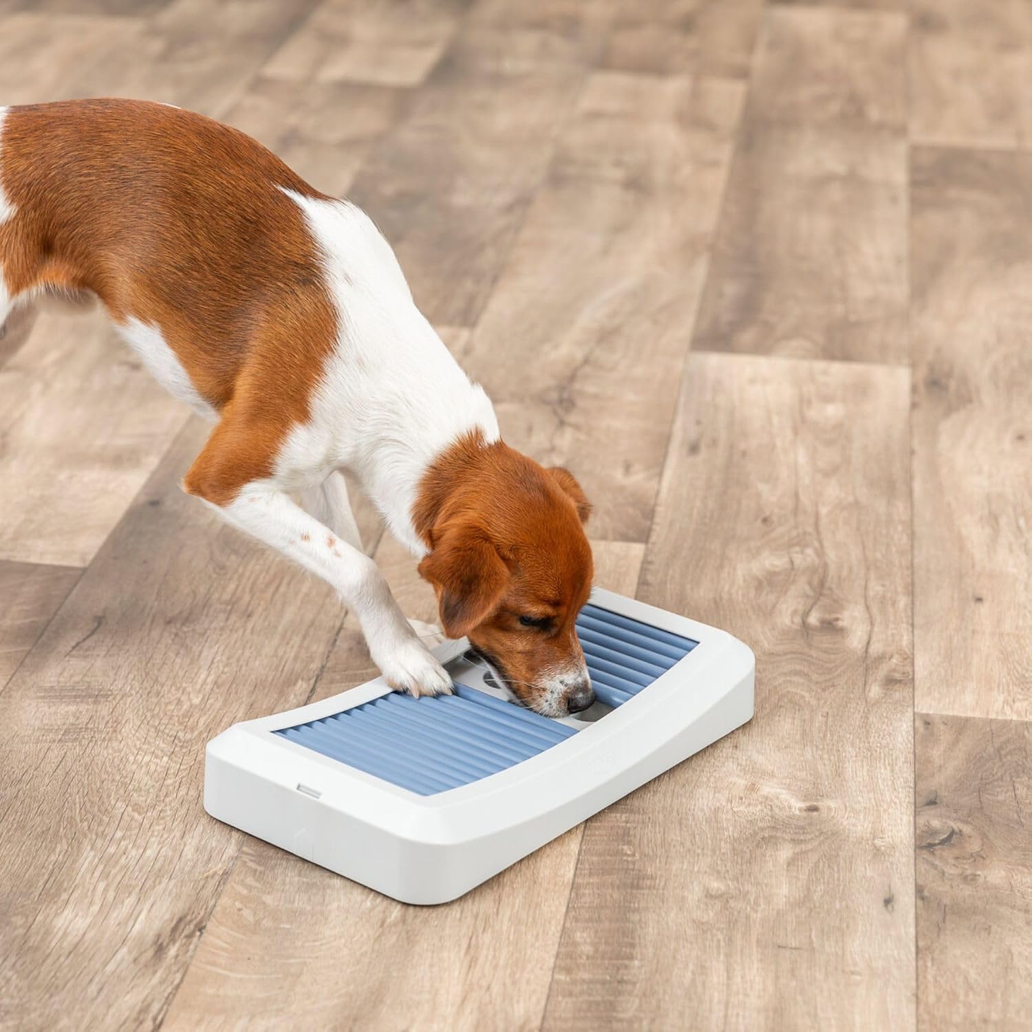 TRIXIE Rod Board — Jouet Puzzle pour Chien Niveau 1 – Image 3