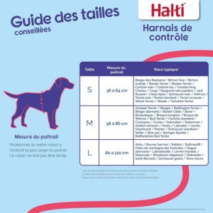Alternative view of HARNAIS HALTI SMALL