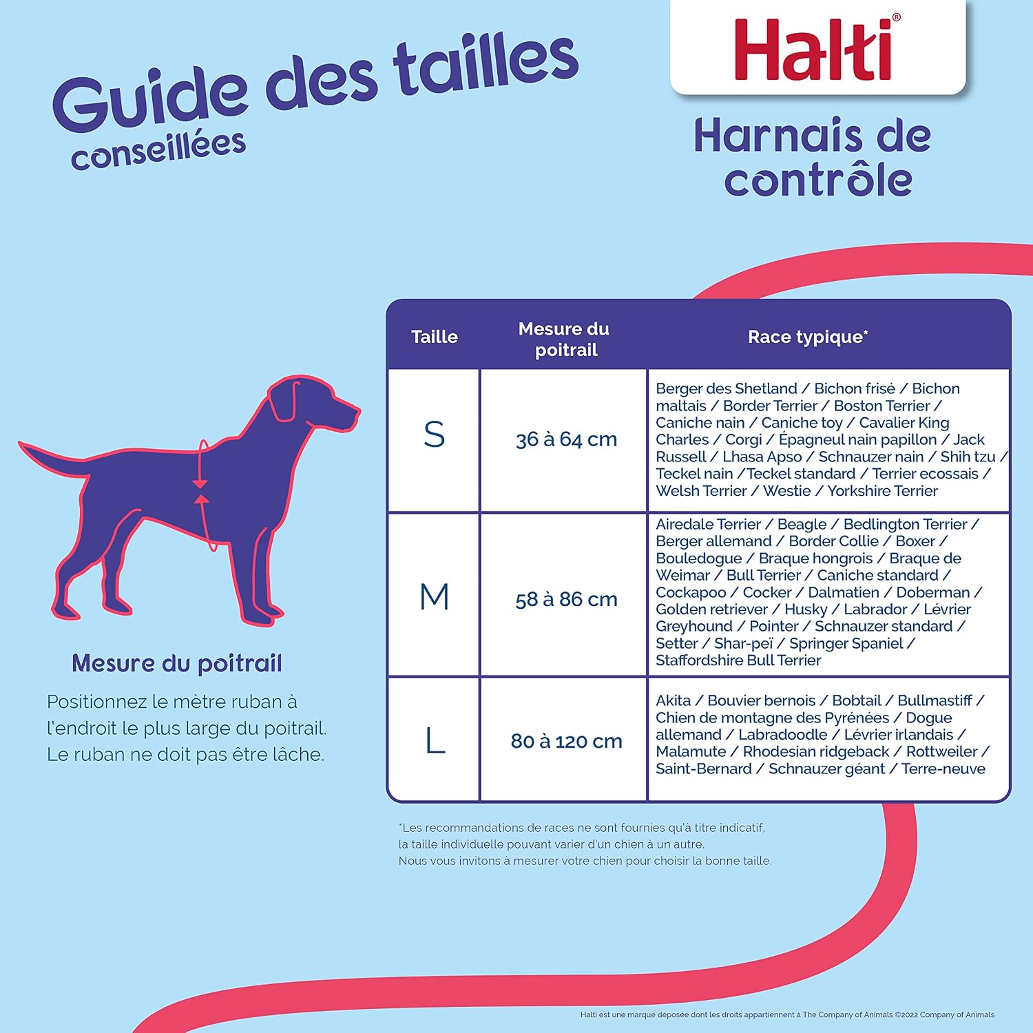 HARNAIS HALTI SMALL – Image 2