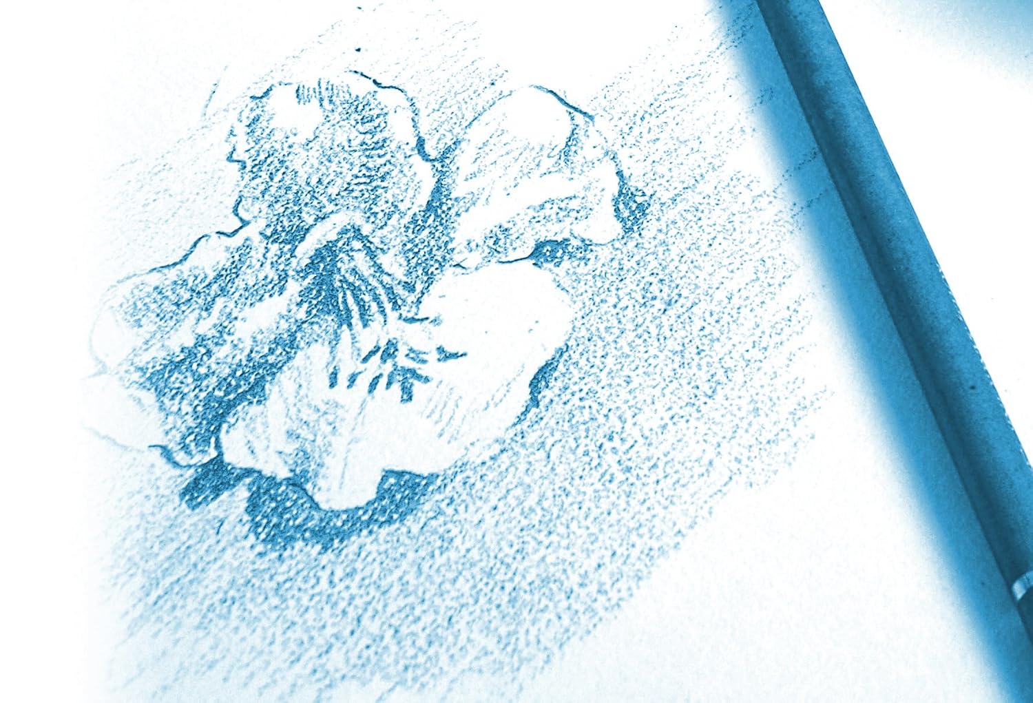 CLAIREFONTAINE — Pochette dessin scolaire A3 10 feuilles 224g – Image 3