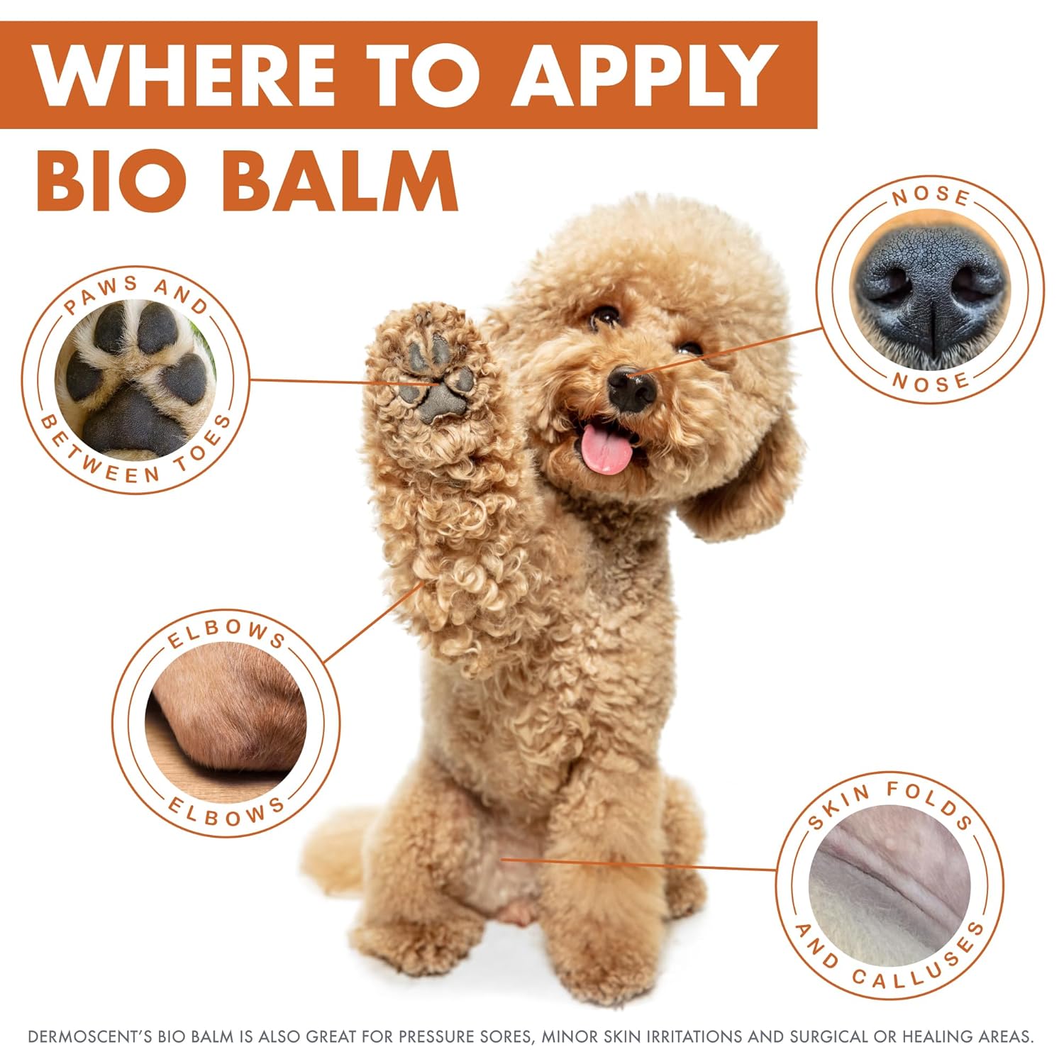 DERMOSCENT Bio Balm — Baume protecteur chien 50 ml – Image 3