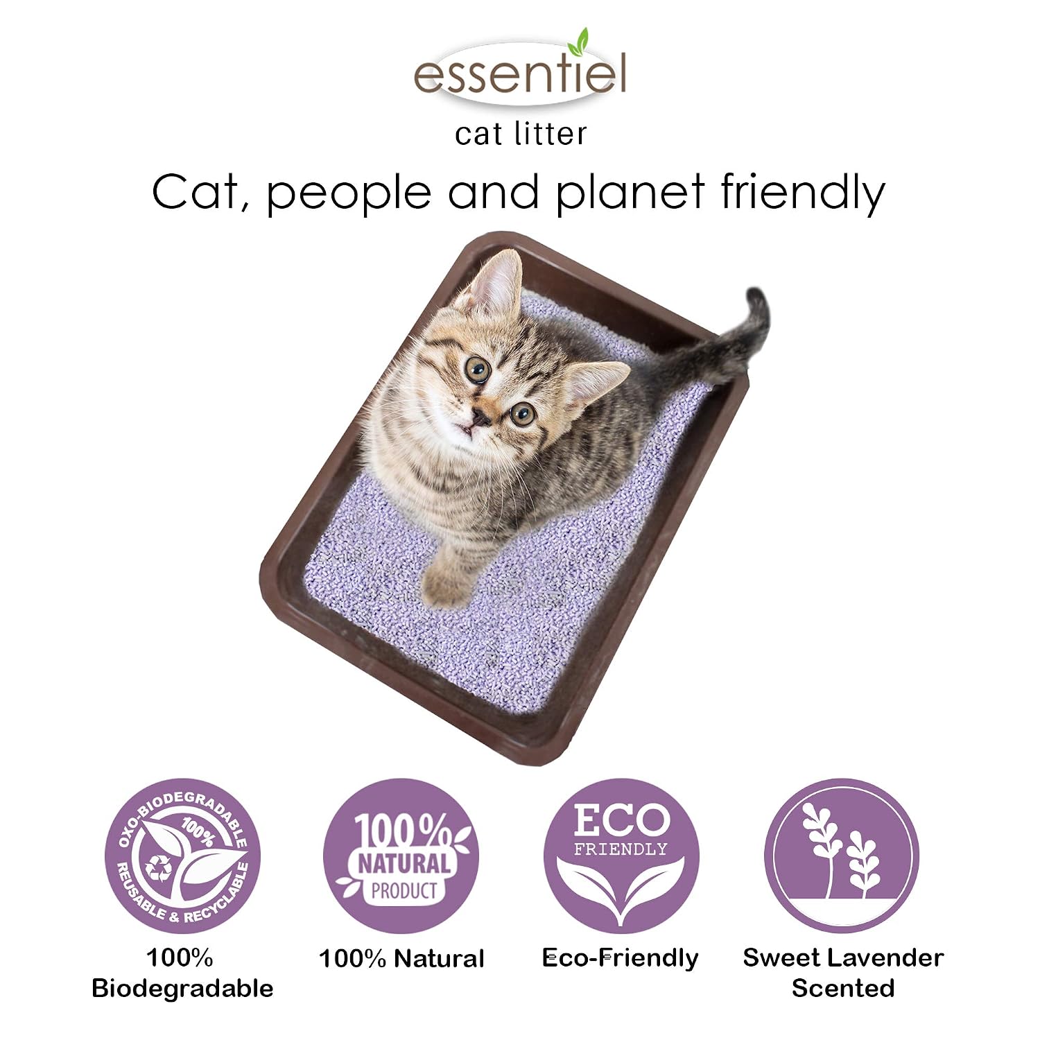 ESSENTIEL — Litière agglomérante soja lavande pour chat 6L – Image 4