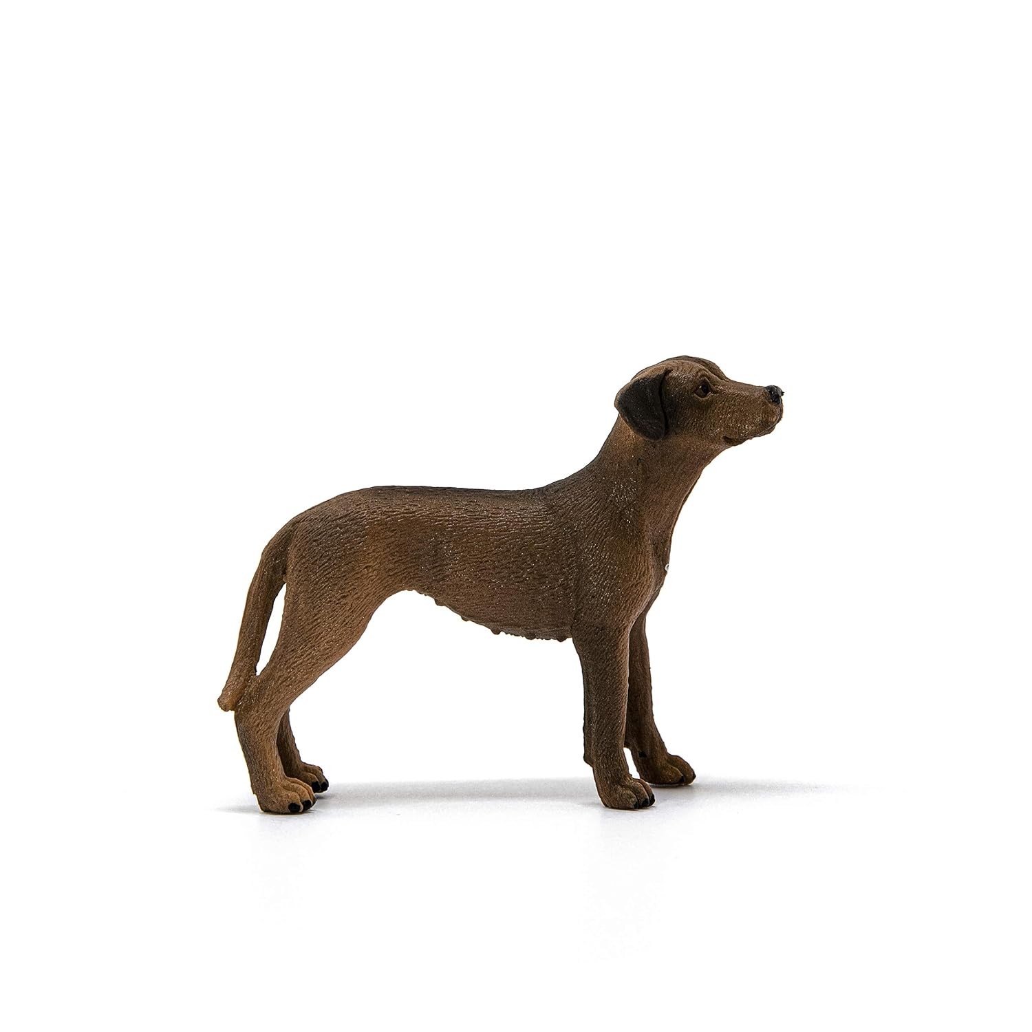 SCHLEICH — Chien de Rhodésie à crête dorsale – Image 2