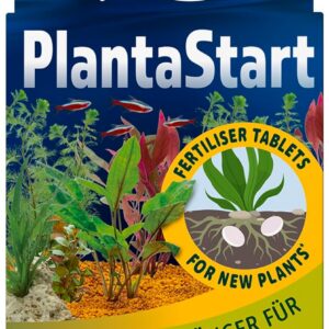 Tetra - 146839 - PlantaStart