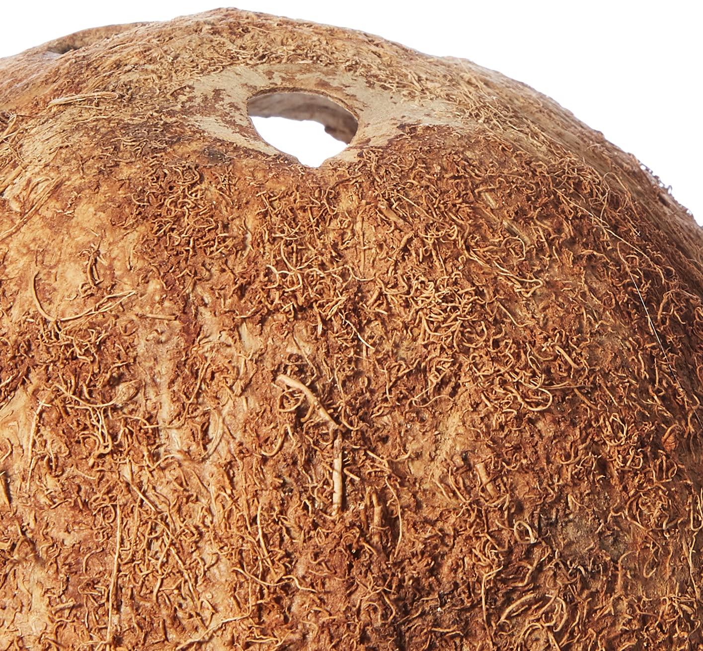 TRIXIE — Maison en Noix de Coco pour Reptile/Amphibien – Image 2