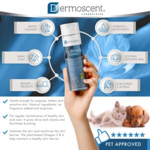 Alternative view of EFA — Shampooing Physio