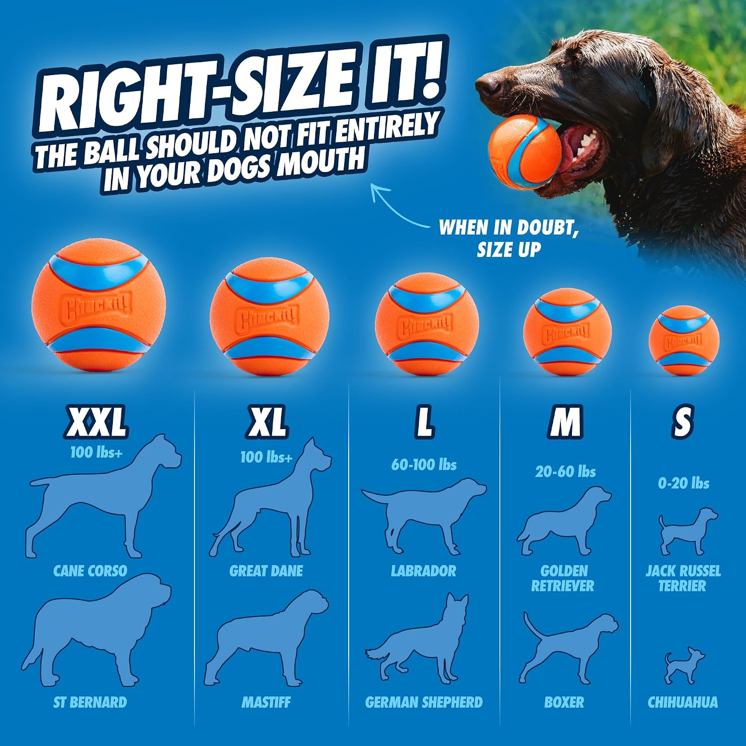 CHUCKIT! Sport — Lanceur de balle pour chien 36 cm petite balle – Image 4