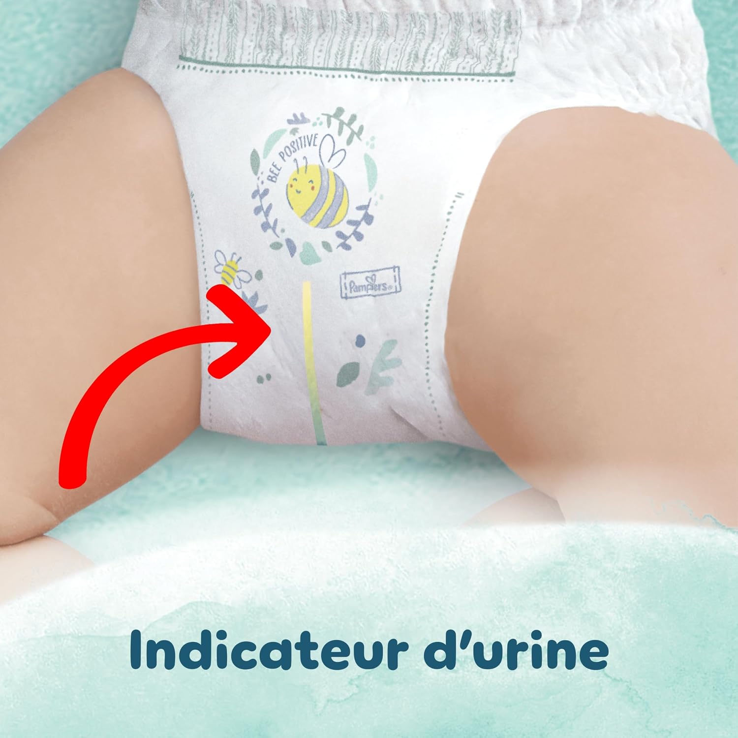 PAMPERS Harmonie — Couches taille 6 x62 (13 kg+) – Image 5