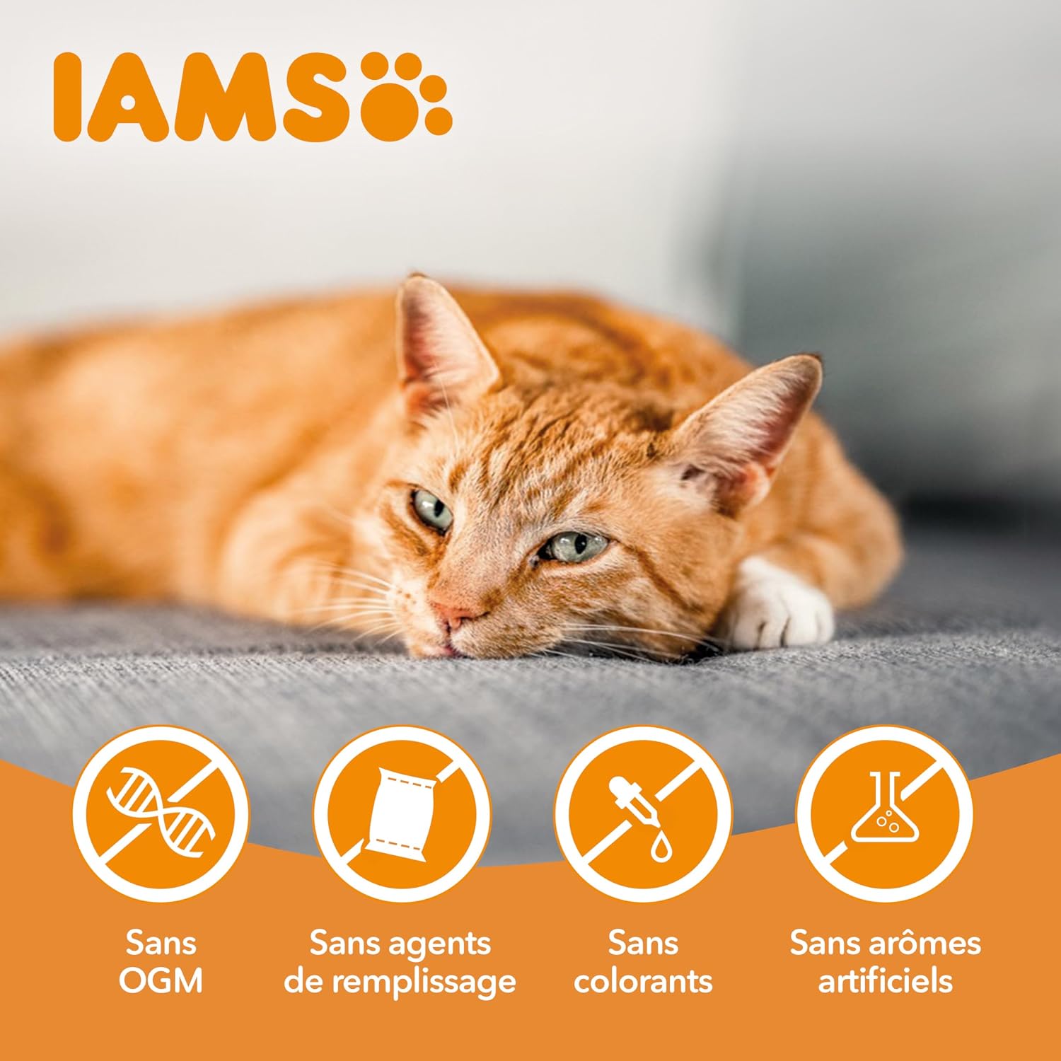 IAMS Vitality — Croquettes au Poulet pour Chat Sénior 1,5kg – Image 4