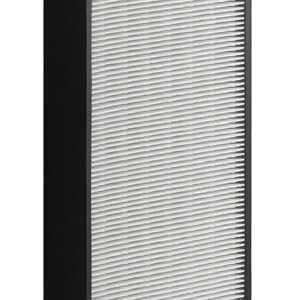 Tefal XD6070F0 Filtre HEPA