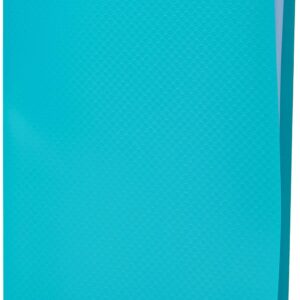 Exacompta - Réf. 85103E - 1 Protège-documents OPAK - 100 pochettes grainées antireflet - 200 vues - pour format A4 - dimensions 24 x 32 cm - couverture en polypro souple - couleur vert foncé