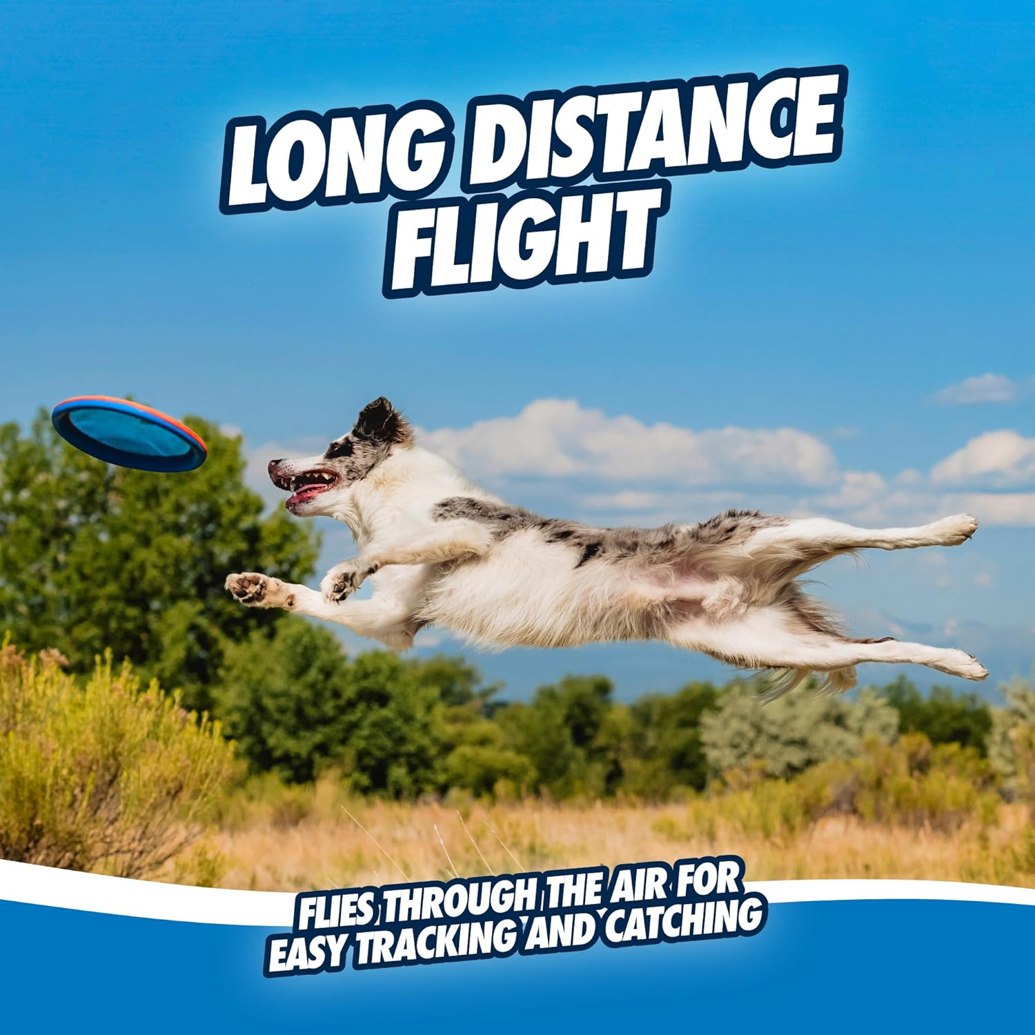 CHUCKIT Paraflight — Jouet pour Chien L Bleu/Orange – Image 5