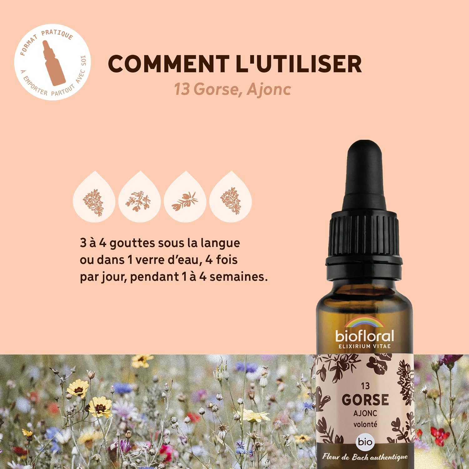 BIOFLORAL — Fleur de Bach Ajonc compte-gouttes bio 20 ml – Image 3