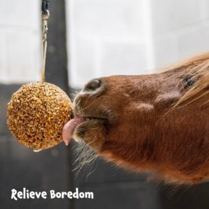 Alternative view of LIKIT Granola Stall-Ball — Friandise pour cheval 1,6 kg