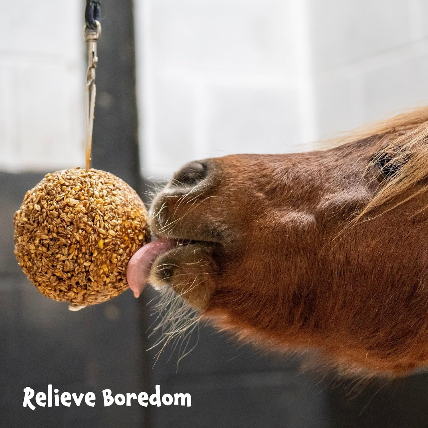 LIKIT Granola Stall-Ball — Friandise pour cheval 1,6 kg – Image 2