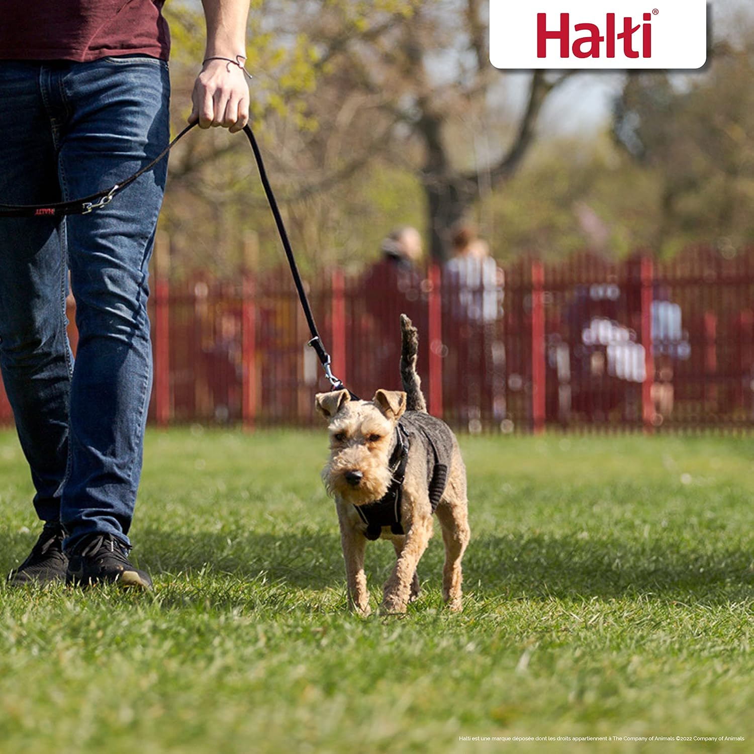 HALTI — Harnais anti-traction réfléchissant petit chien S noir – Image 4