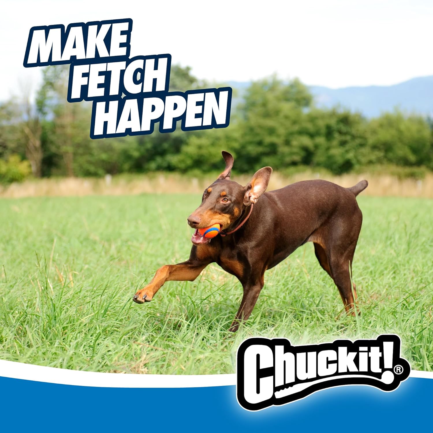 CHUCKIT — Balle pour Chien Taille L – Image 5