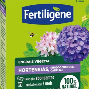 FERTILIGENE FEGHOR650 - Engrais Végétal Hortensias, Rhododendrons, Camélias 650 g - Fleurs plus abondantes -Seulement 1 application en 3 mois -Jusqu'à 26 plantes - Produit 100% naturel avec zéolite