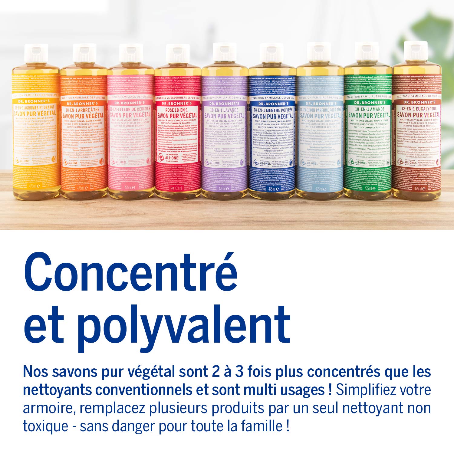 DR BRONNER'S — Savon Liquide Eucalyptus 475 ml – Image 2