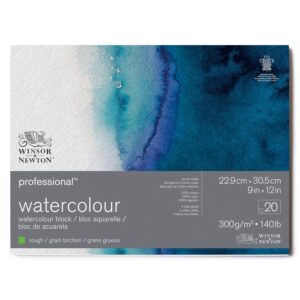 WINSOR & NEWTON PAPIER AQUARELLE PROFESSIONNELLE BLOC COLLÉ 4 CÔTÉS GRAIN TORCHON 300G 22,9X30,5CM 20 FEUILLES