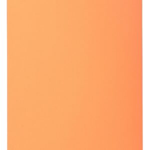 EXACOMPTA Pqt de 100 Sous-chemises 22x31 cm SUPER 60 g Bulle