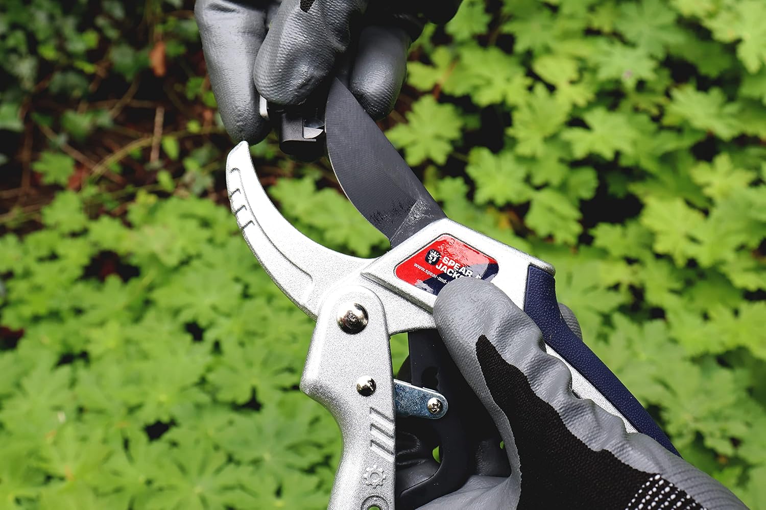 SPEAR & JACKSON — Sécateur à crémaillère 20 cm – Image 5