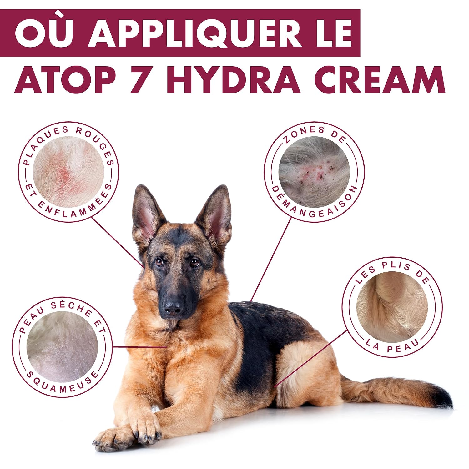 DERMOSCENT ATOP 7 Hydra Cream — Crème hydratante 50 ml – Image 6