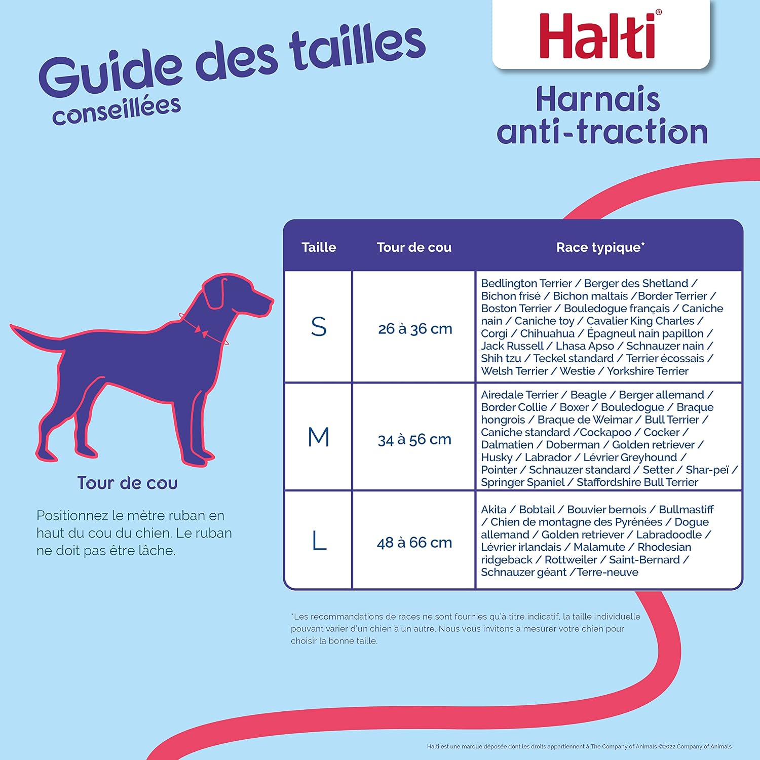 HALTI — Harnais anti-traction réfléchissant petit chien S noir – Image 2