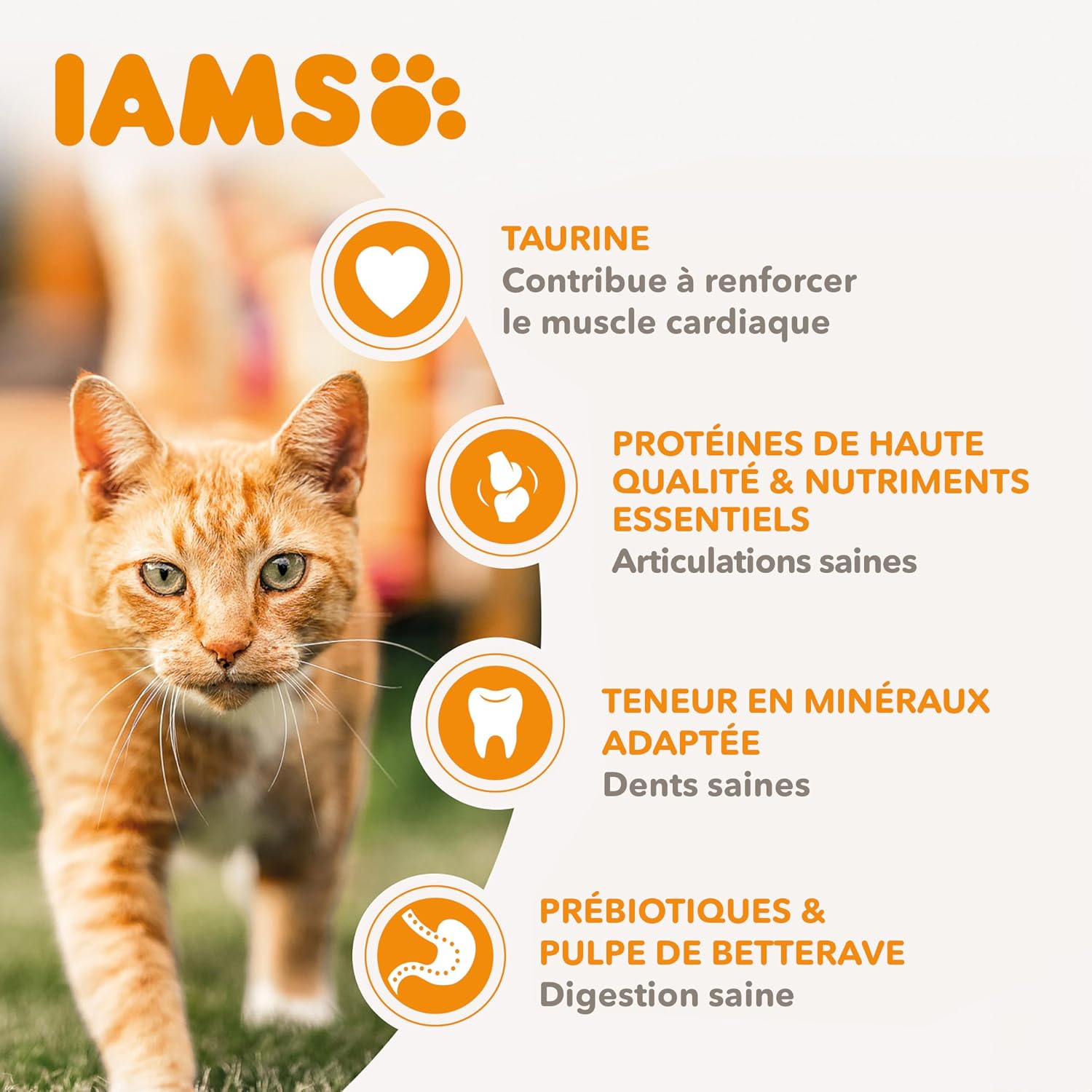 IAMS Vitality — Croquettes au Poulet pour Chat Sénior 1,5kg – Image 3