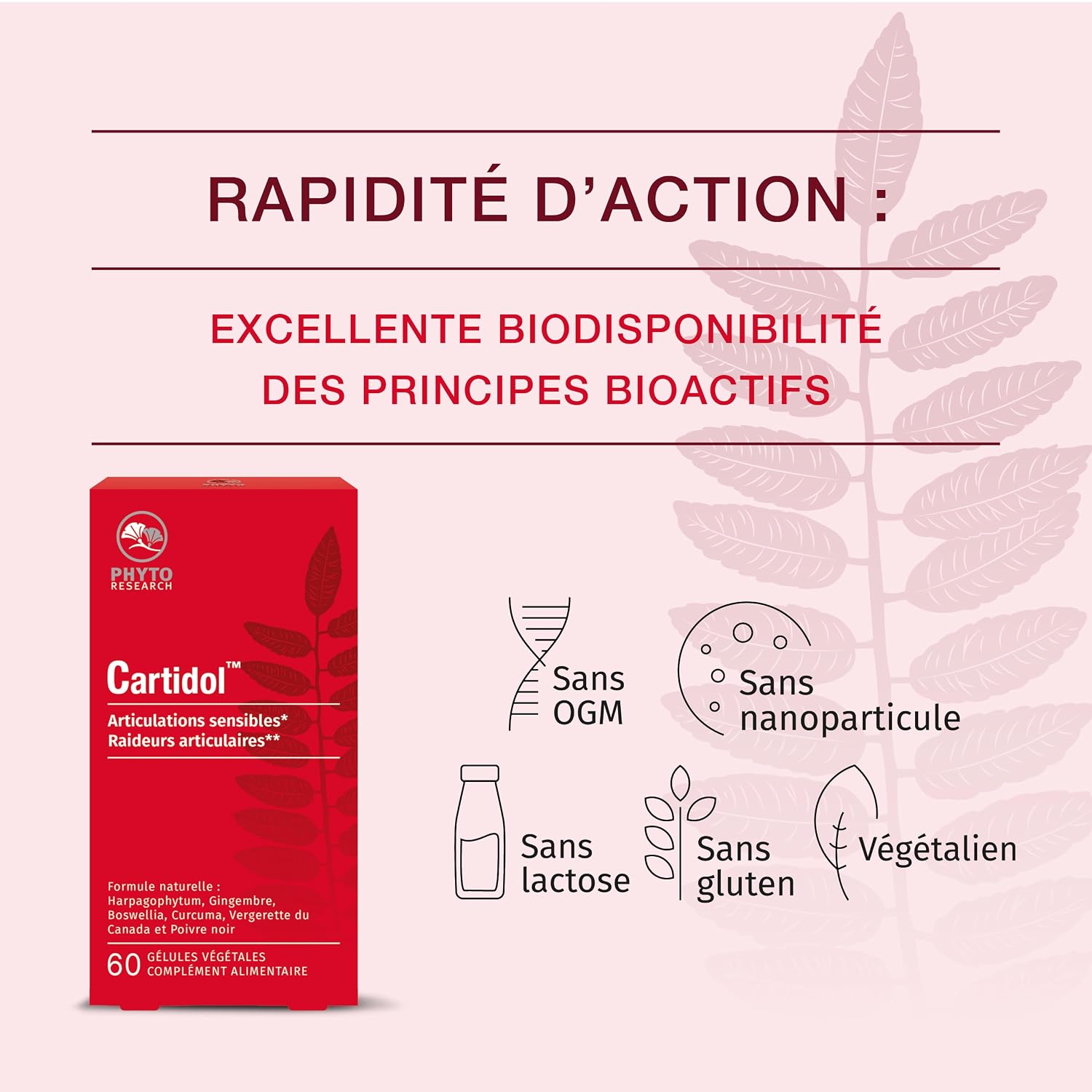 PHYTORESEARCH Cartidol — Complément alimentaire articulations 60 gélules – Image 3