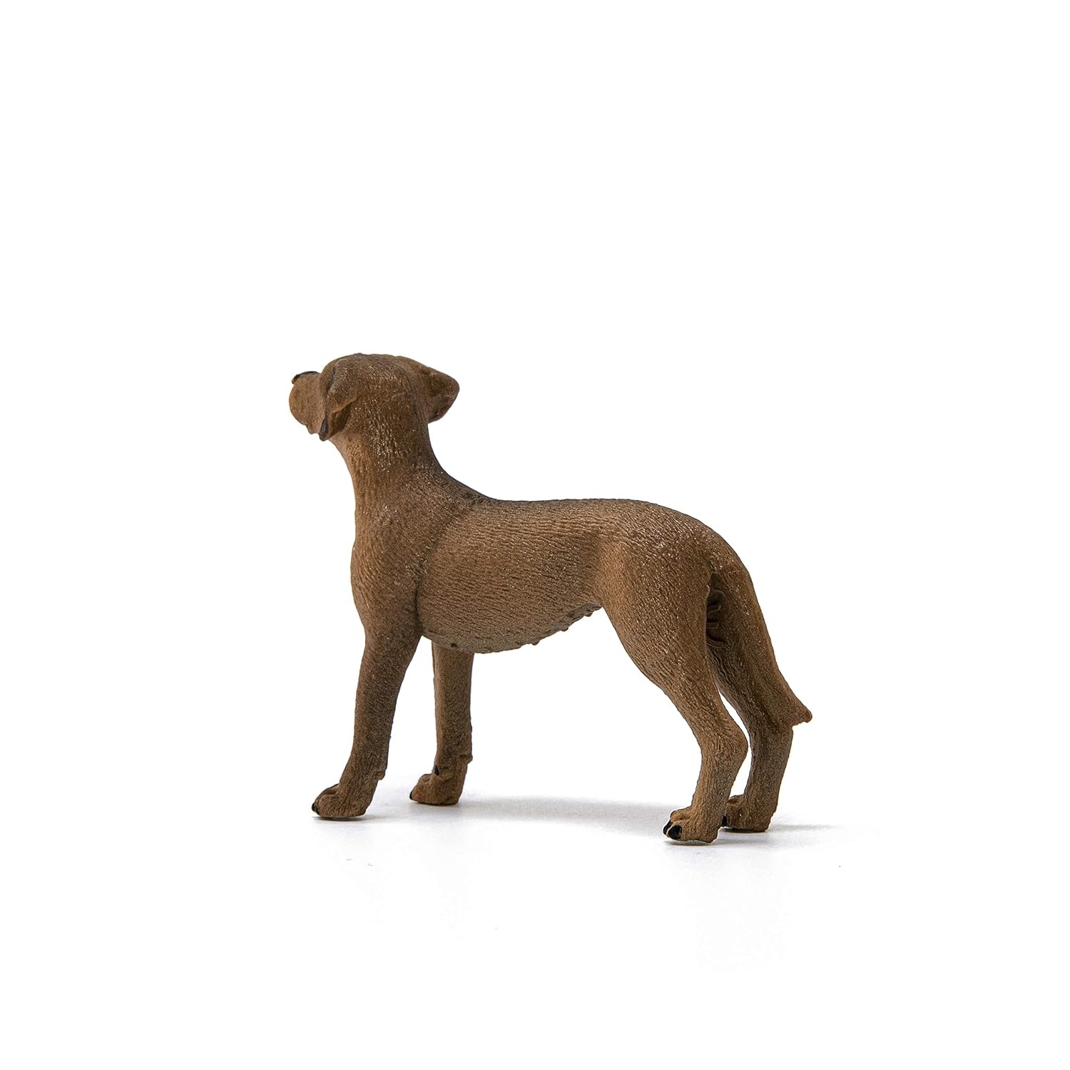SCHLEICH — Chien de Rhodésie à crête dorsale – Image 3