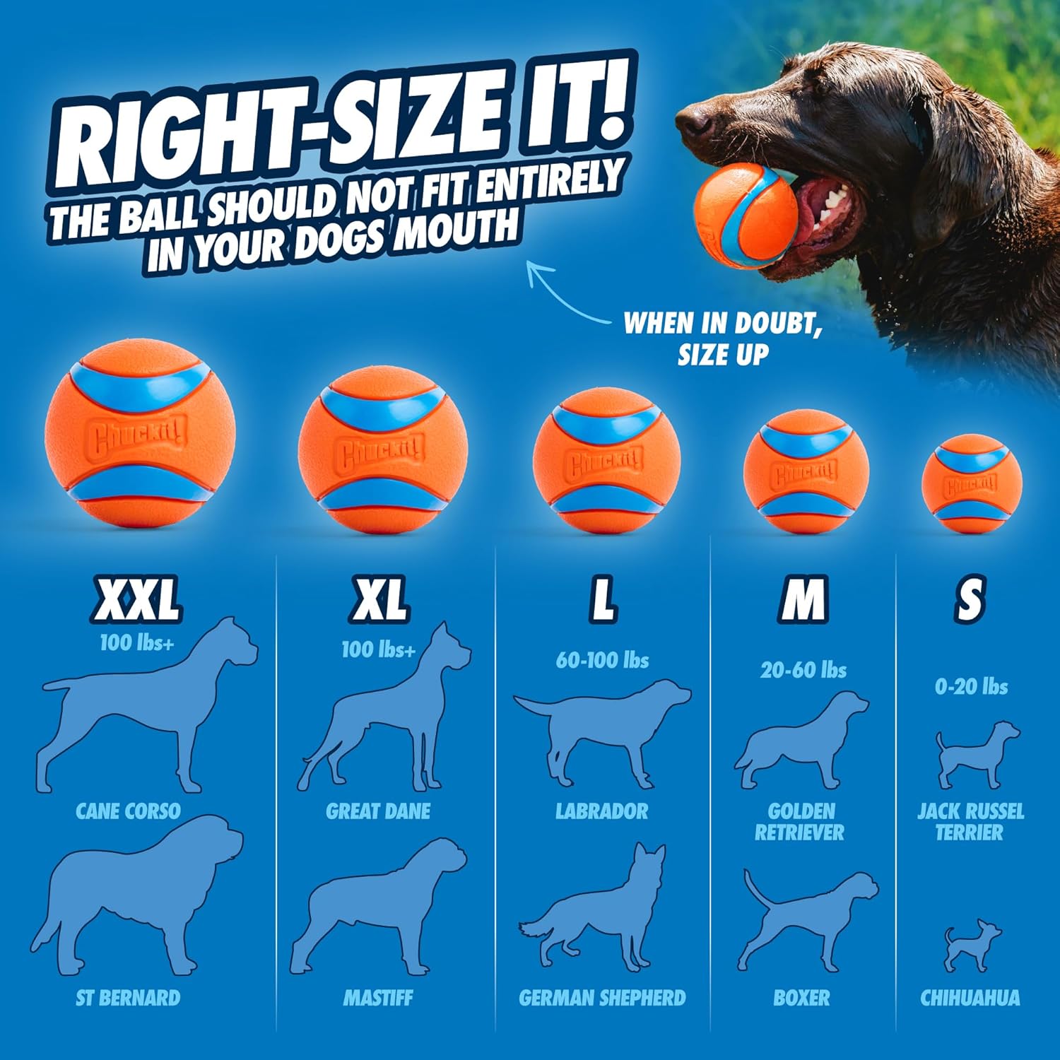 CHUCKIT — Balle pour Chien Taille L – Image 3