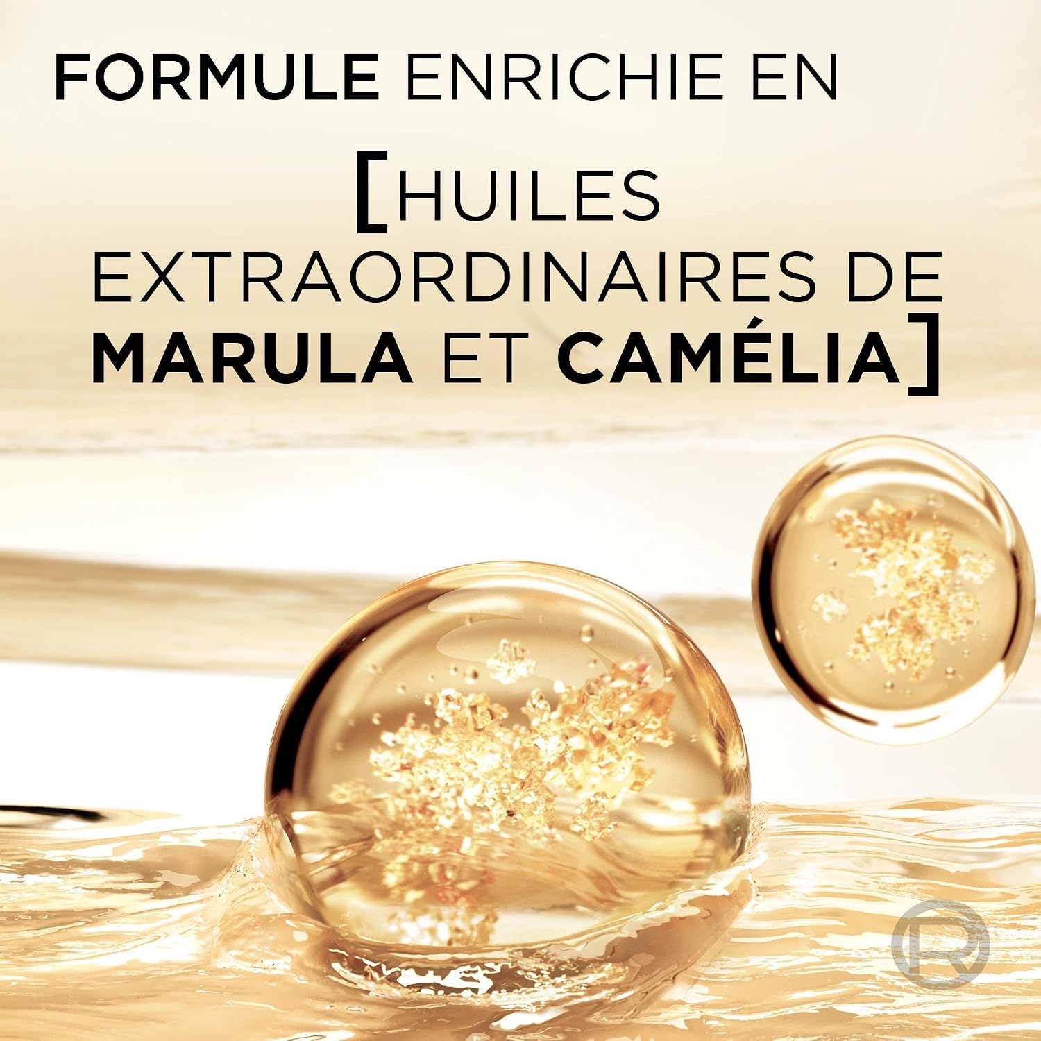 L'ORÉAL PARIS Elseve Huile Extraordinaire — Shampooing 300ml – Image 3