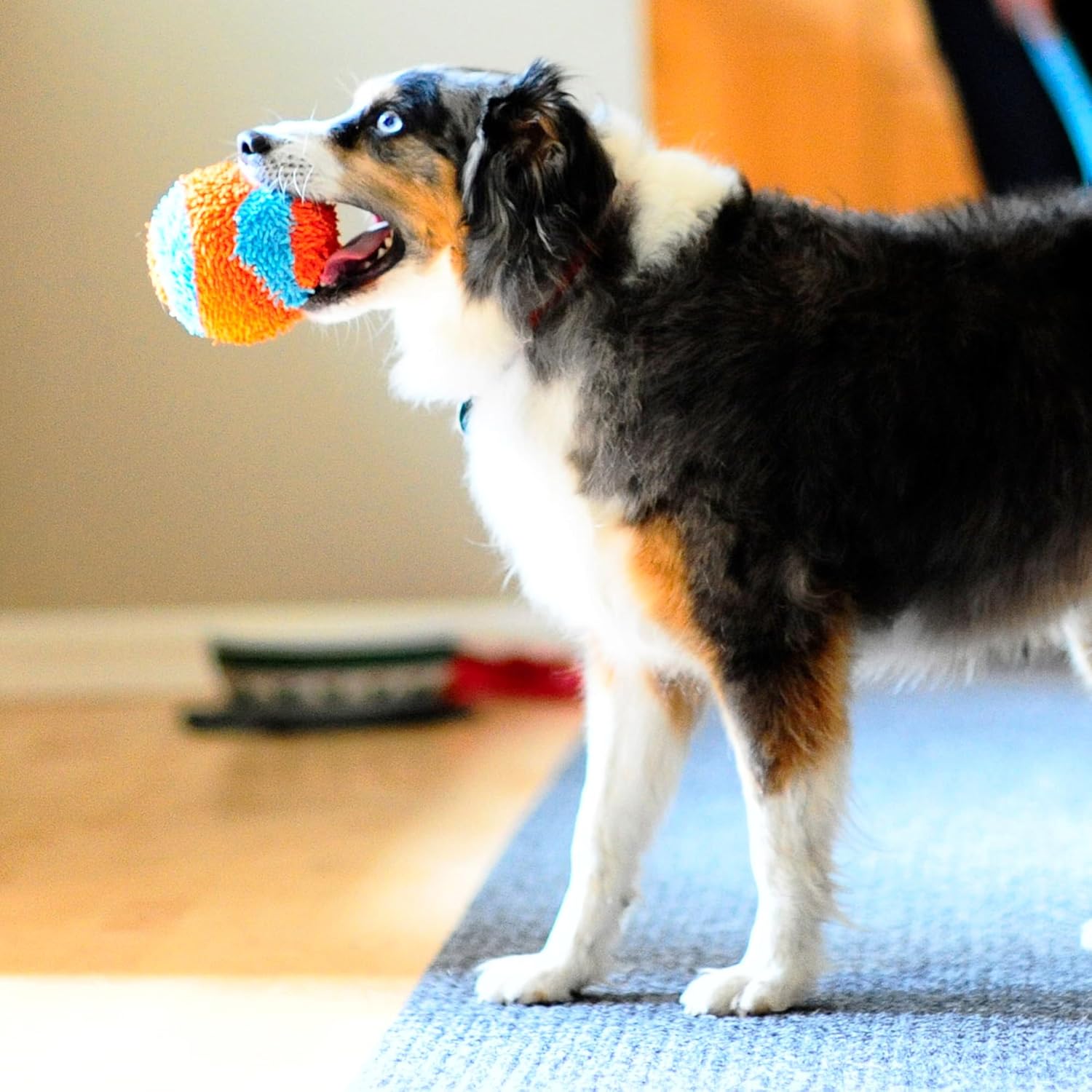 CHUCKIT — Jouet d’intérieur pour chien Ball – Image 5