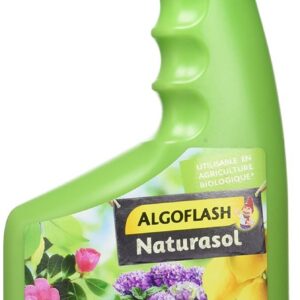 ALGOFLASH NATURASOL Anti-Chlorose Reverdissant Toutes Plantes, Prêt à l'Emploi, 750 ml, BIOCLOPRETAN, Vert