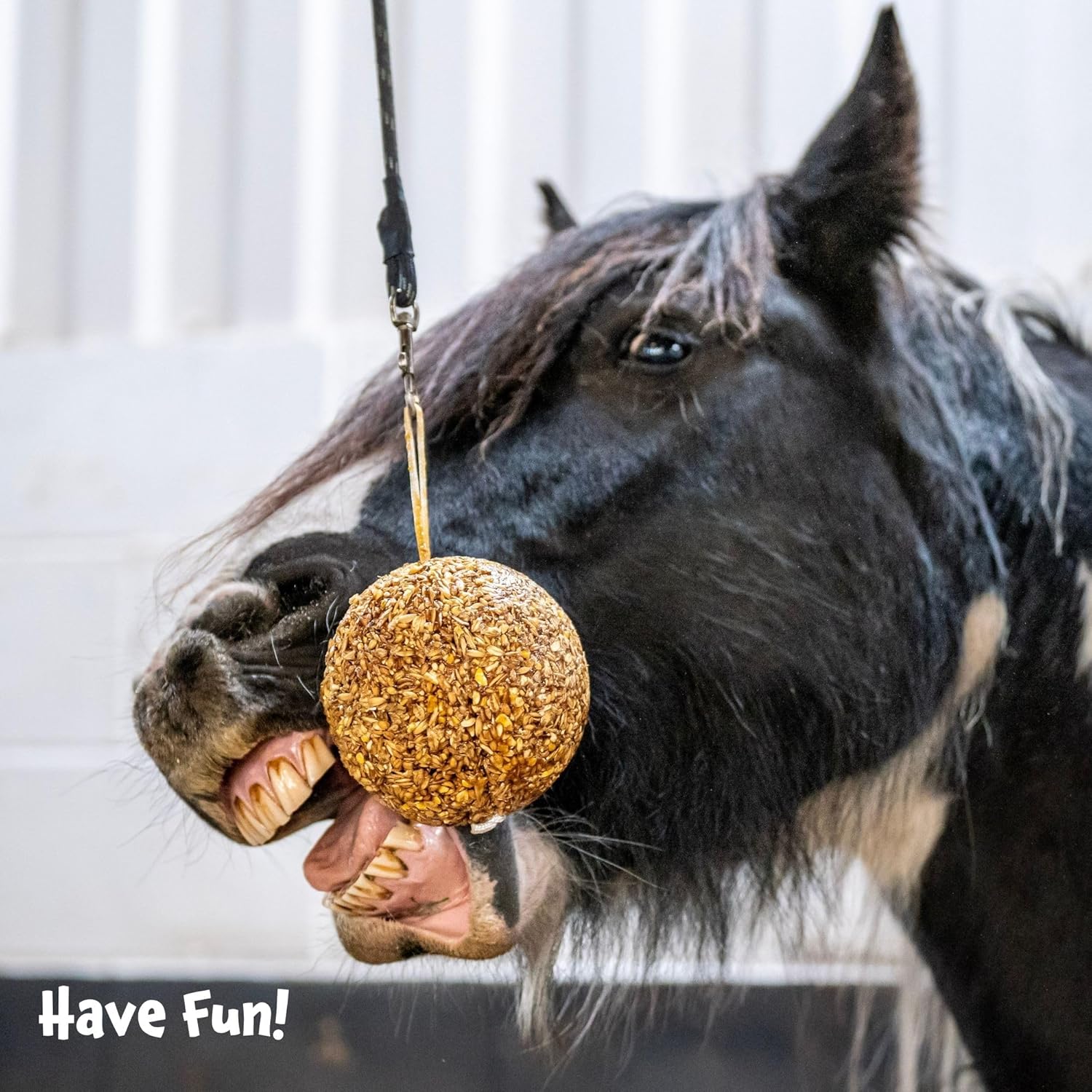 LIKIT Granola Stall-Ball — Friandise pour cheval 1,6 kg – Image 4