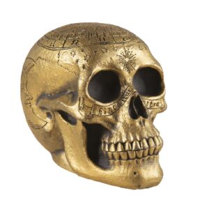 P'tit Clown - 23012 - Crâne D'astronomie - Décoration Halloween Tête de Mort Squelette - Thème Voodoo - Accessoire Effrayant pour Ambiance Mystique - Parfait pour Déguisements et Décors de Fête