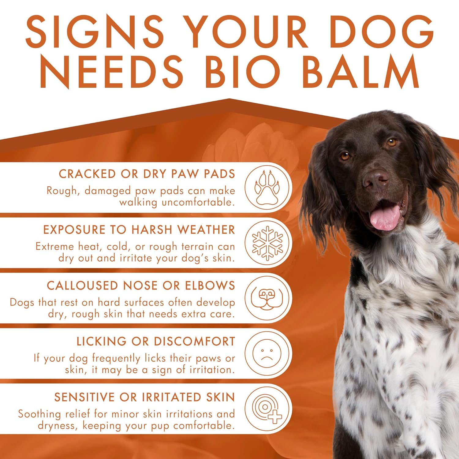 DERMOSCENT Bio Balm — Baume protecteur chien 50 ml – Image 2