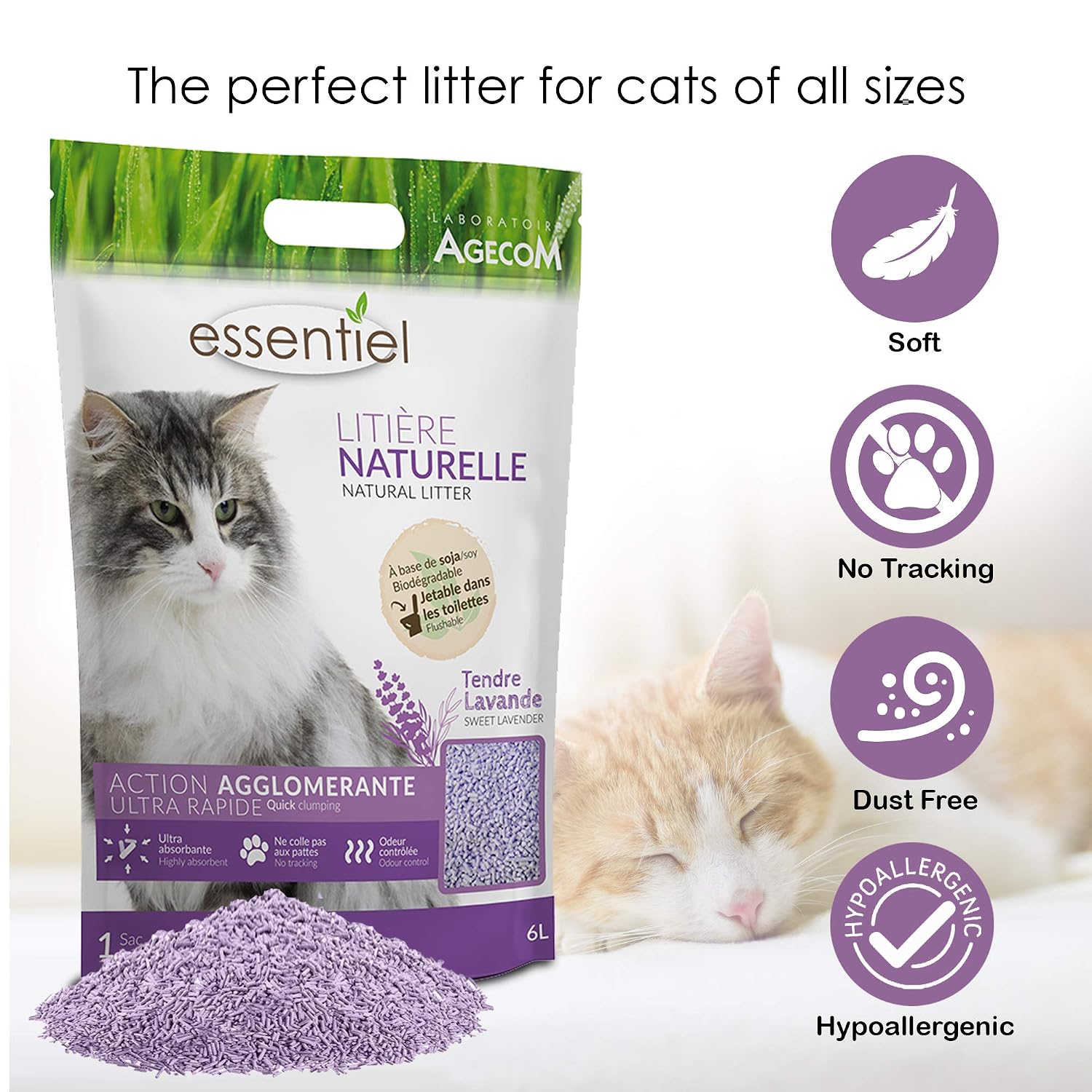 ESSENTIEL — Litière agglomérante soja lavande pour chat 6L – Image 3