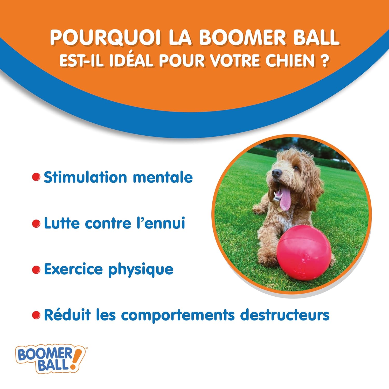 BOOMER BALL — Balle pour Chien Résistante 10cm – Image 2