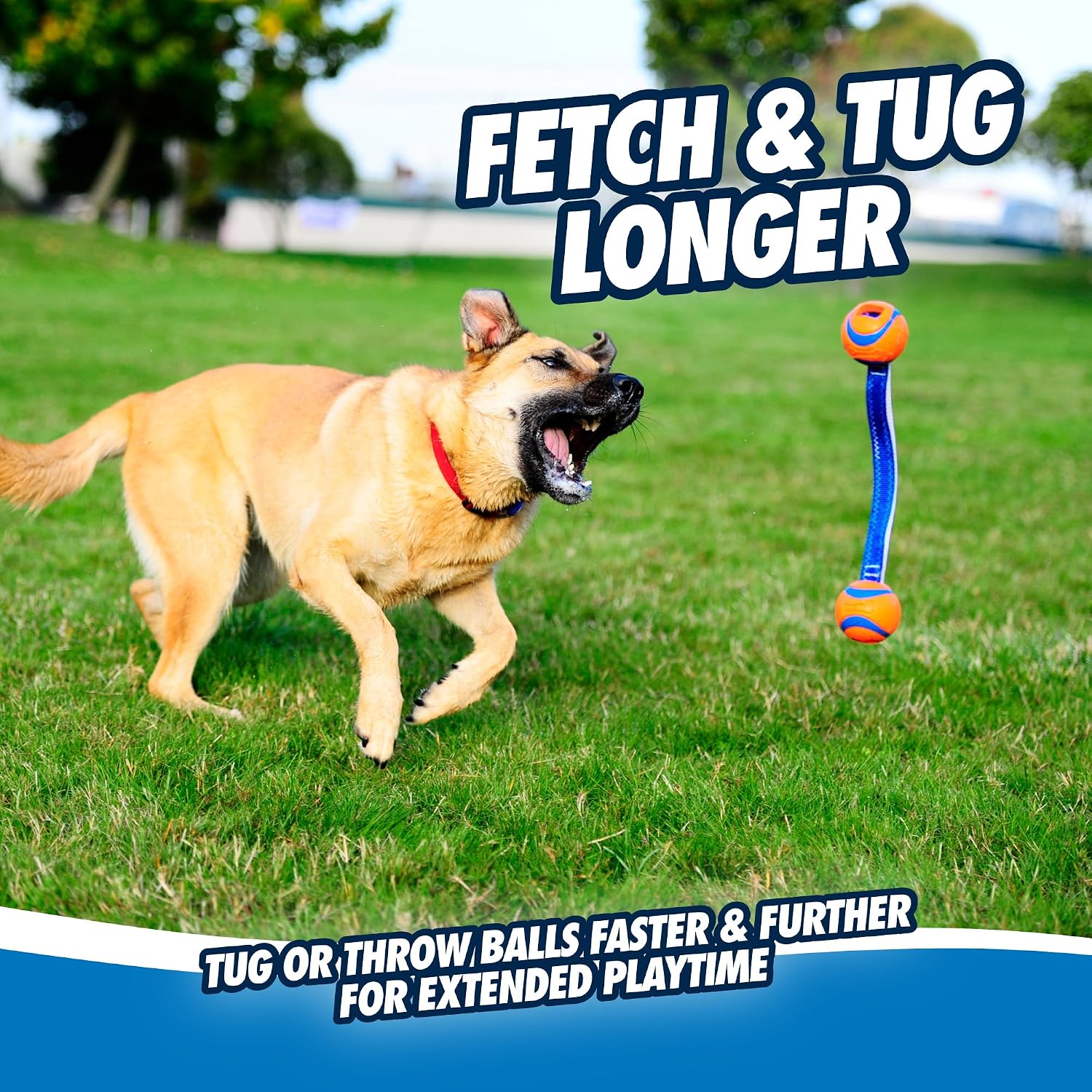 CHUCKIT — Jouet pour Chien Ultra Duo Tug 6 cm Taille M – Image 5