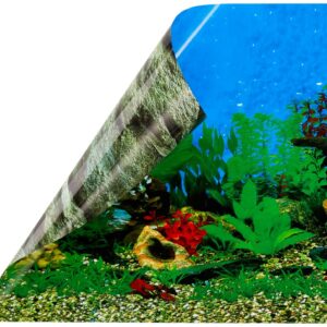 Alternative view of EBI — Poster fond d'aquarium mer/rocher 80 x 40 cm