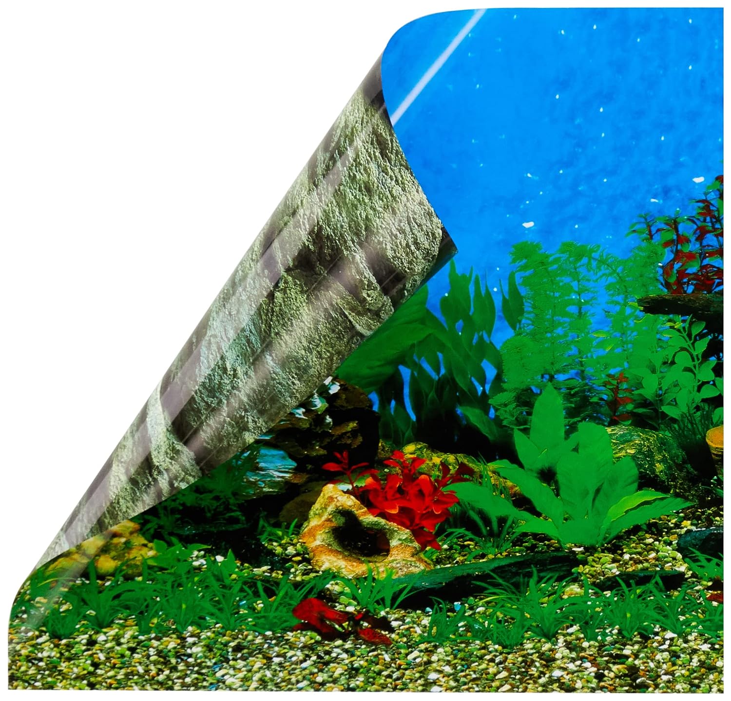 EBI — Poster fond d'aquarium mer/rocher 80 x 40 cm – Image 2