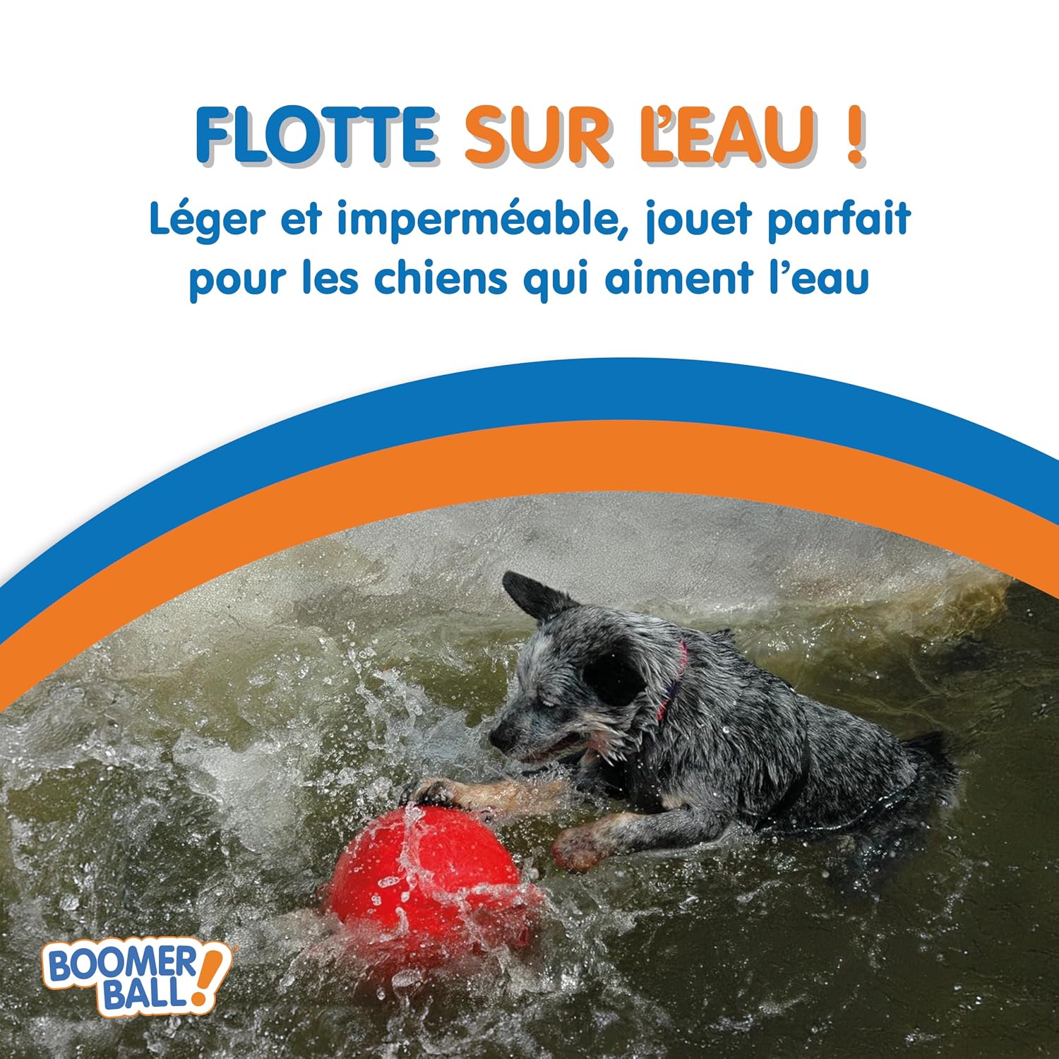 BOOMER BALL — Balle pour Chien Résistante 10cm – Image 3