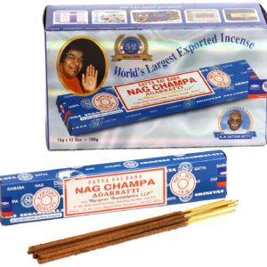 Nag Champa Lot de 12 Paquets de 15 g d’encens (180 g au Total) Bleu